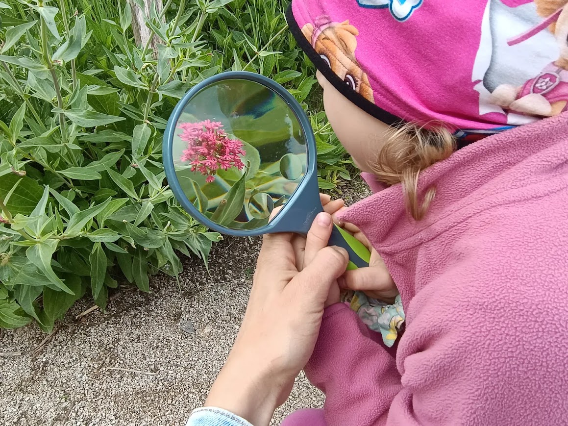 Haba Lupa Terra Kids